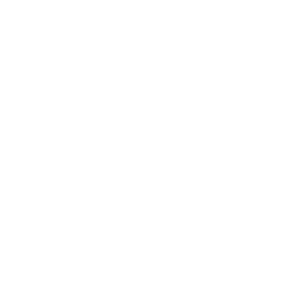 SJT Properties